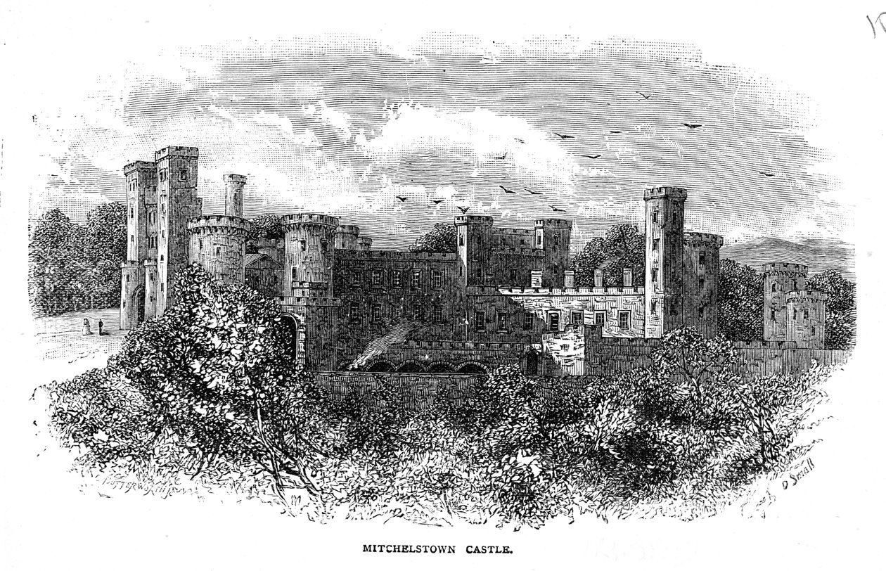 Castelo de Mitchelstown, gravado por D. Small de George Butterworth