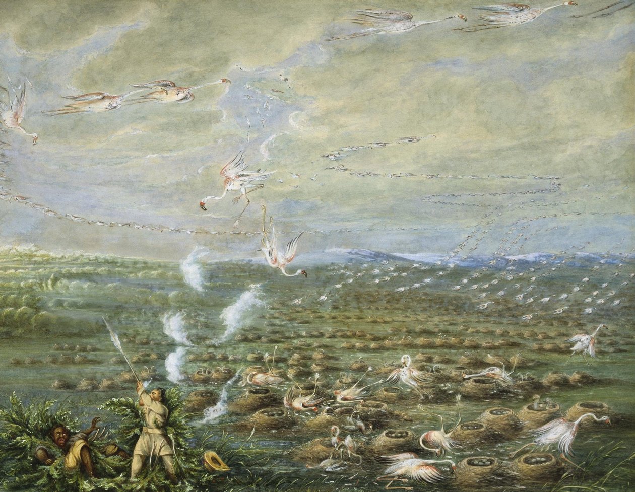 Tiro de Flamingo na América do Sul de George Catlin