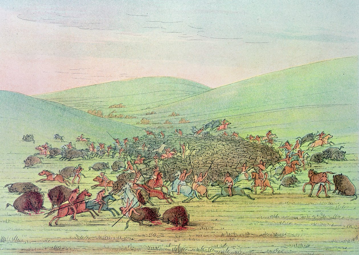 Minatarees atacando búfalos a cavalo de George Catlin