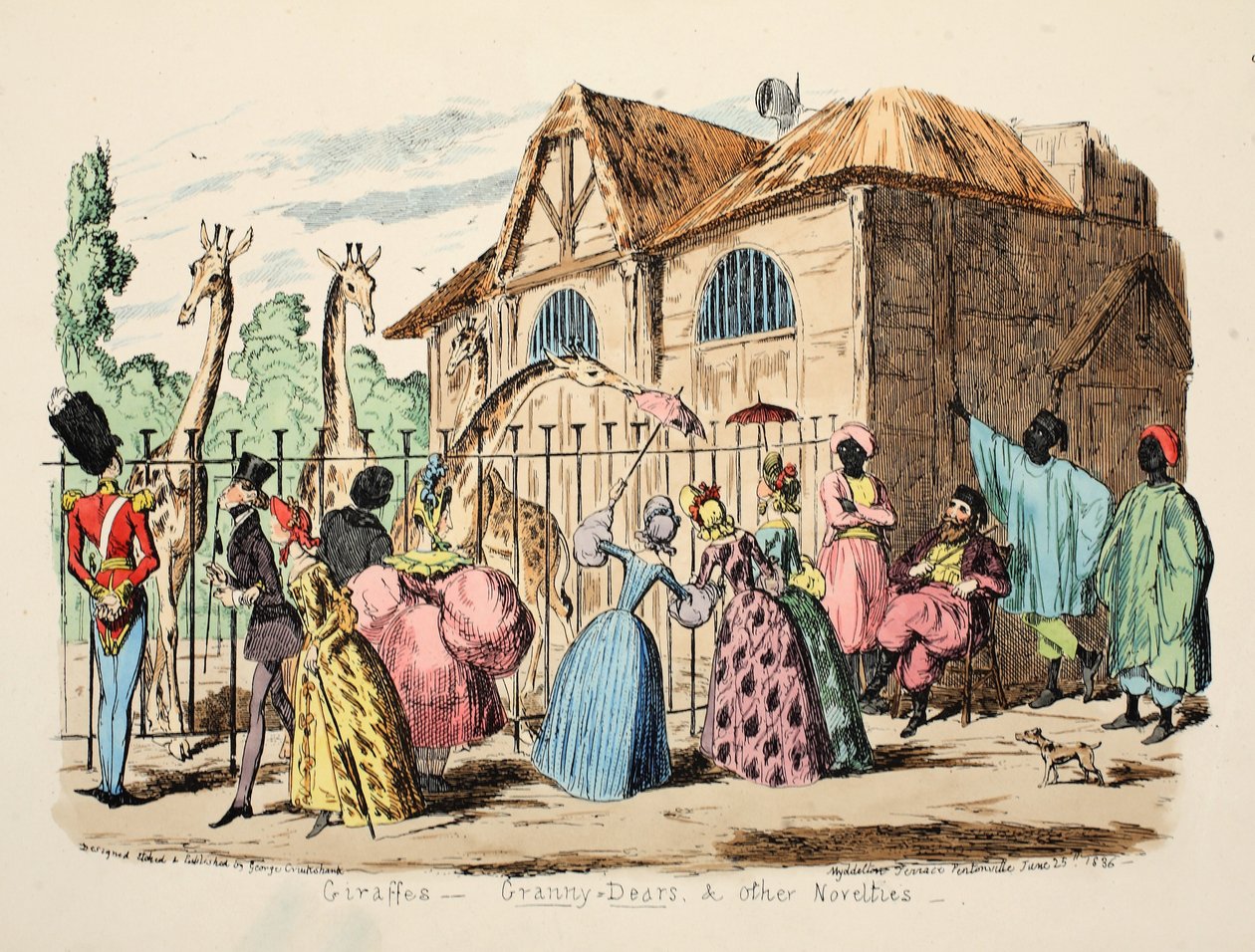 Girafas - Granny Dears e Outras Novidades, pub. 1886 (gravura colorida à mão) de George Cruikshank