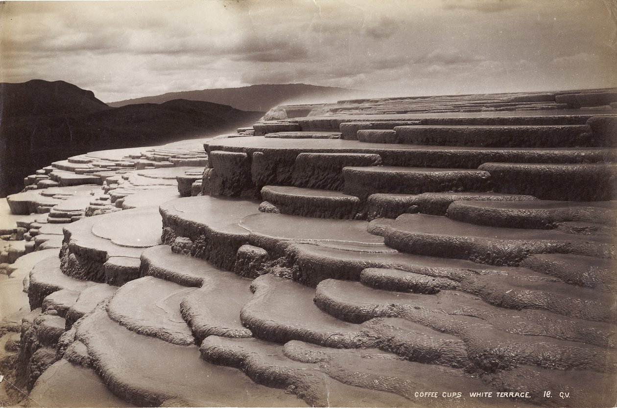 Coffee Cups, White Terrace, janeiro de 1885 (impressão albumen) de George Dobson Valentine