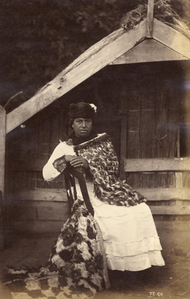 Guia para Kate, Te Wairoa, 1885 (albumen print) de George Dobson Valentine