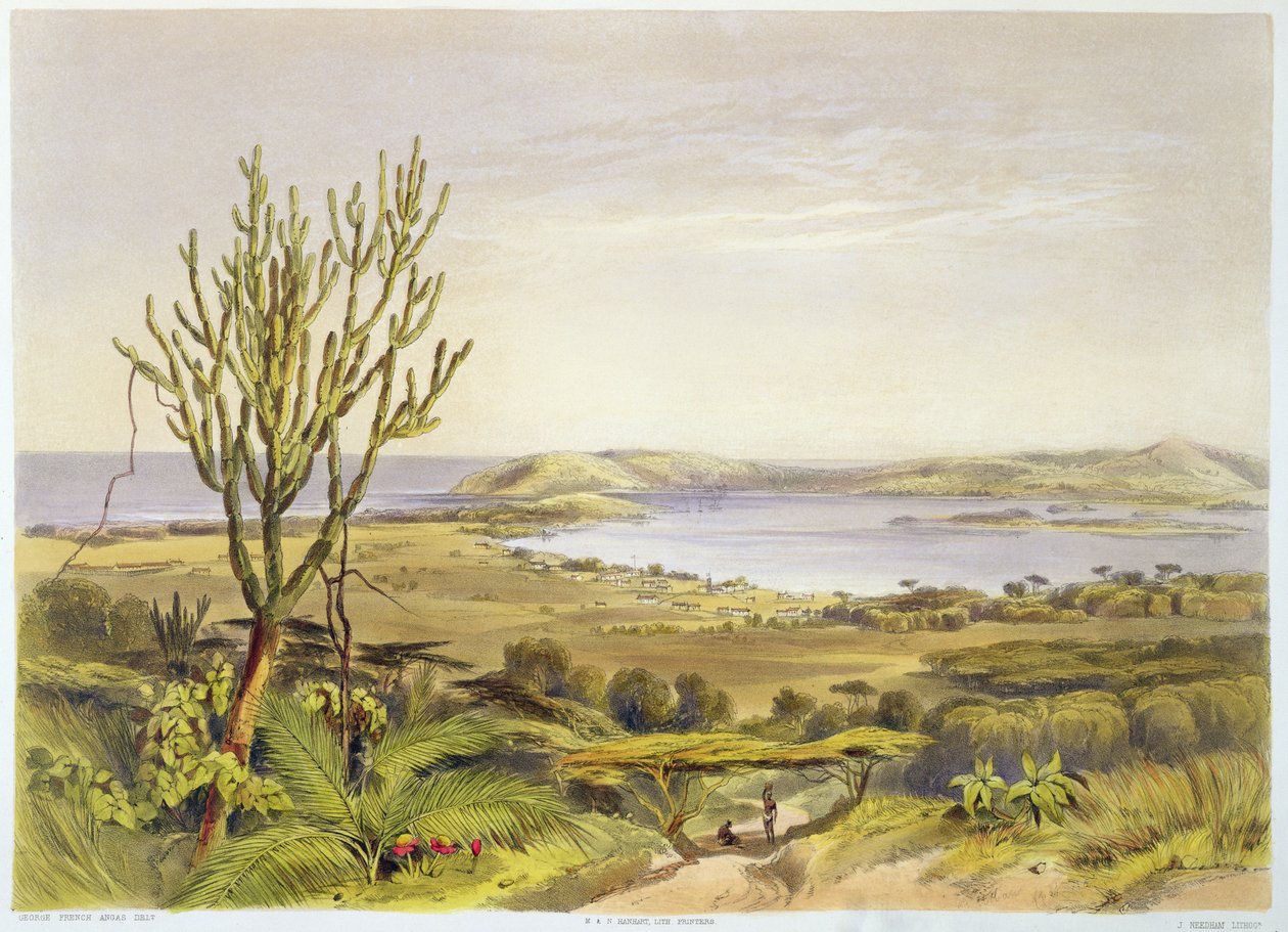 Durban, Port Natal, placa 28 de &39;The Kafirs Illustrated&39;, gravado por J. Needham, 1849 de George French Angas