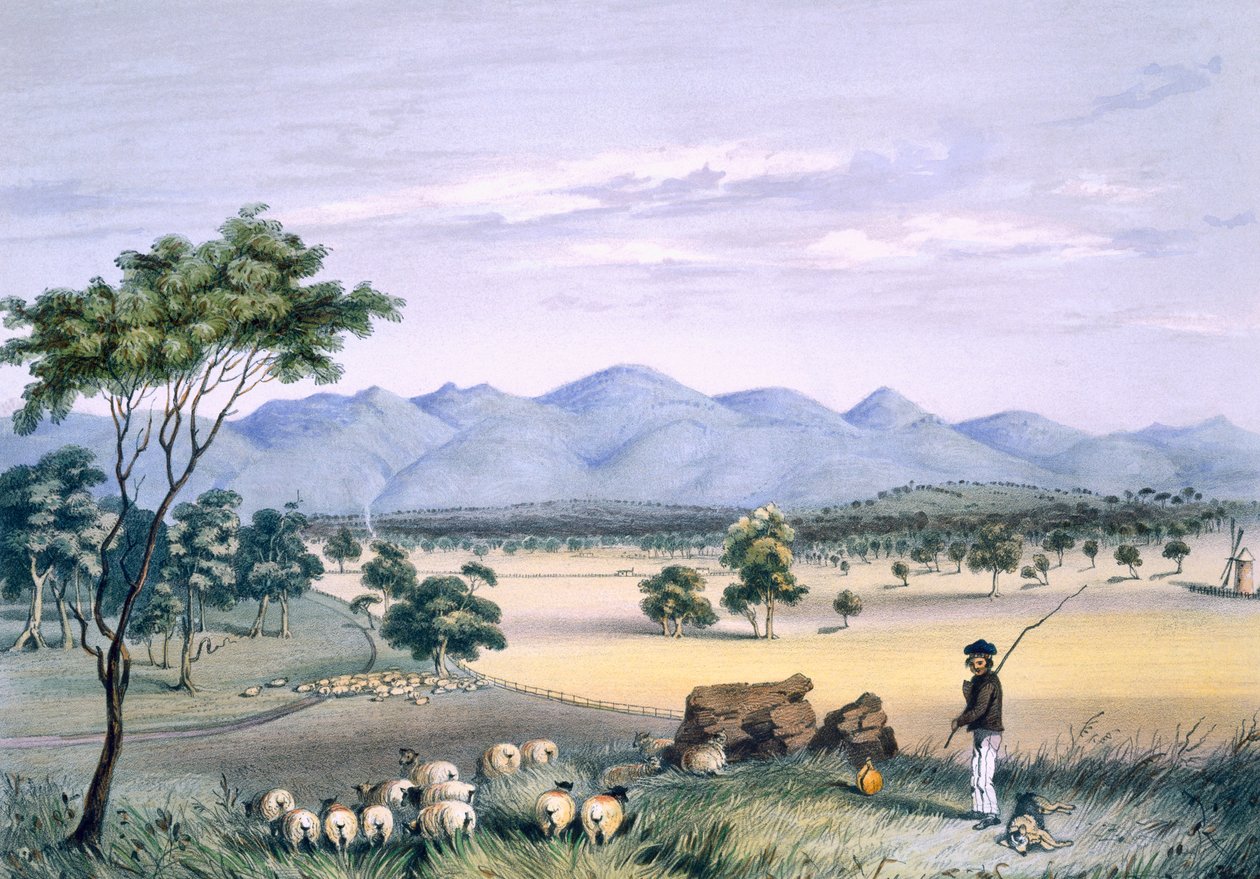 Vale Lynedoch olhando para a Cordilheira Barossa, de &39;South Australia Illustrated&39;, publicado em 1847 (gravura colorida à mão) de George French Angas