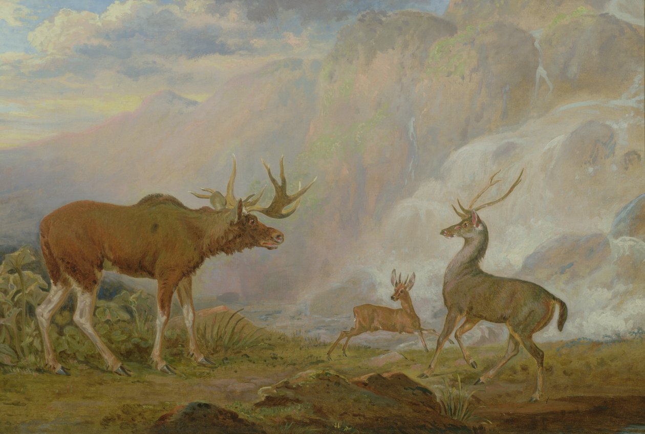 Conde de Orford&39;s Elk, Antelope and Stag de George Garrard