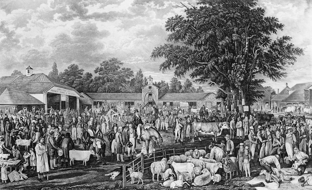 Sheepshearing de Woburn, gravado por Thomas Morris, 1811 de George Garrard