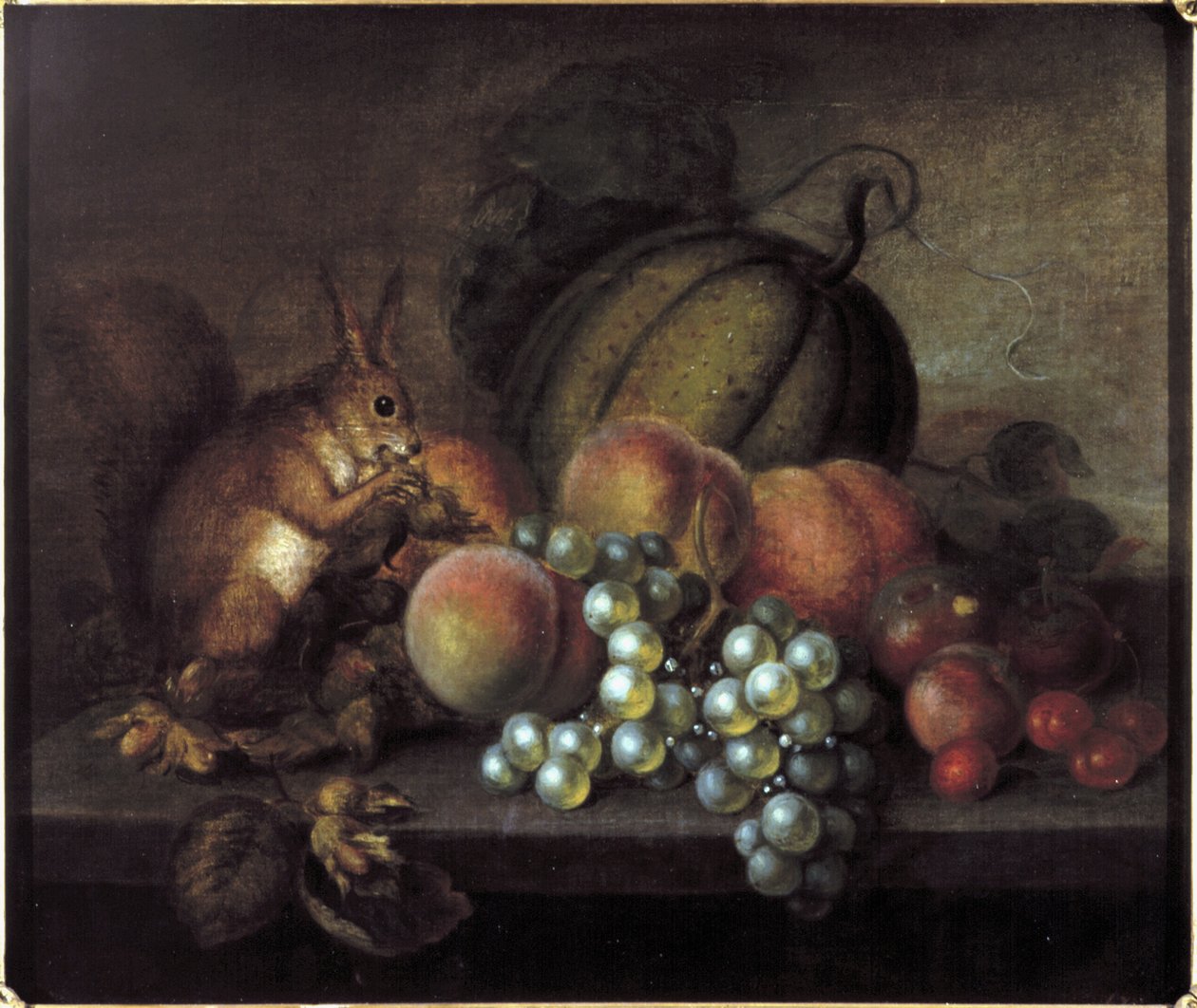 Estudo de frutas com esquilo de George Gray