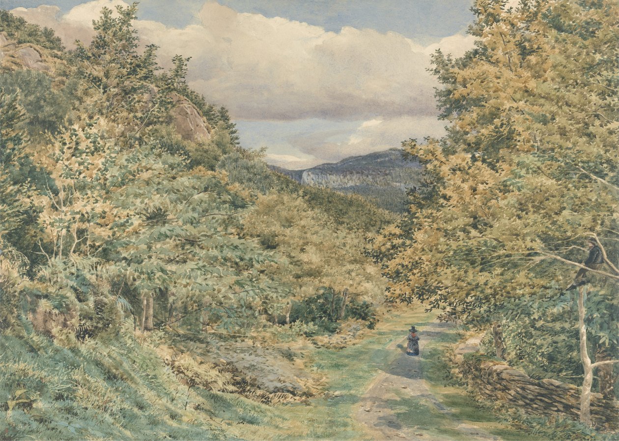 Uma estrada perto de Bettws-y-Coed, 1851 (wc sobre grafite no papel) de George Price Boyce