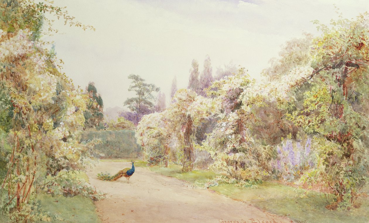 Jardim de verão com um pavão de George Samuel Elgood