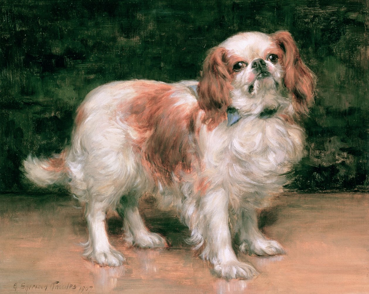 King Charles Spaniel, 1907 de George Sheridan Knowles