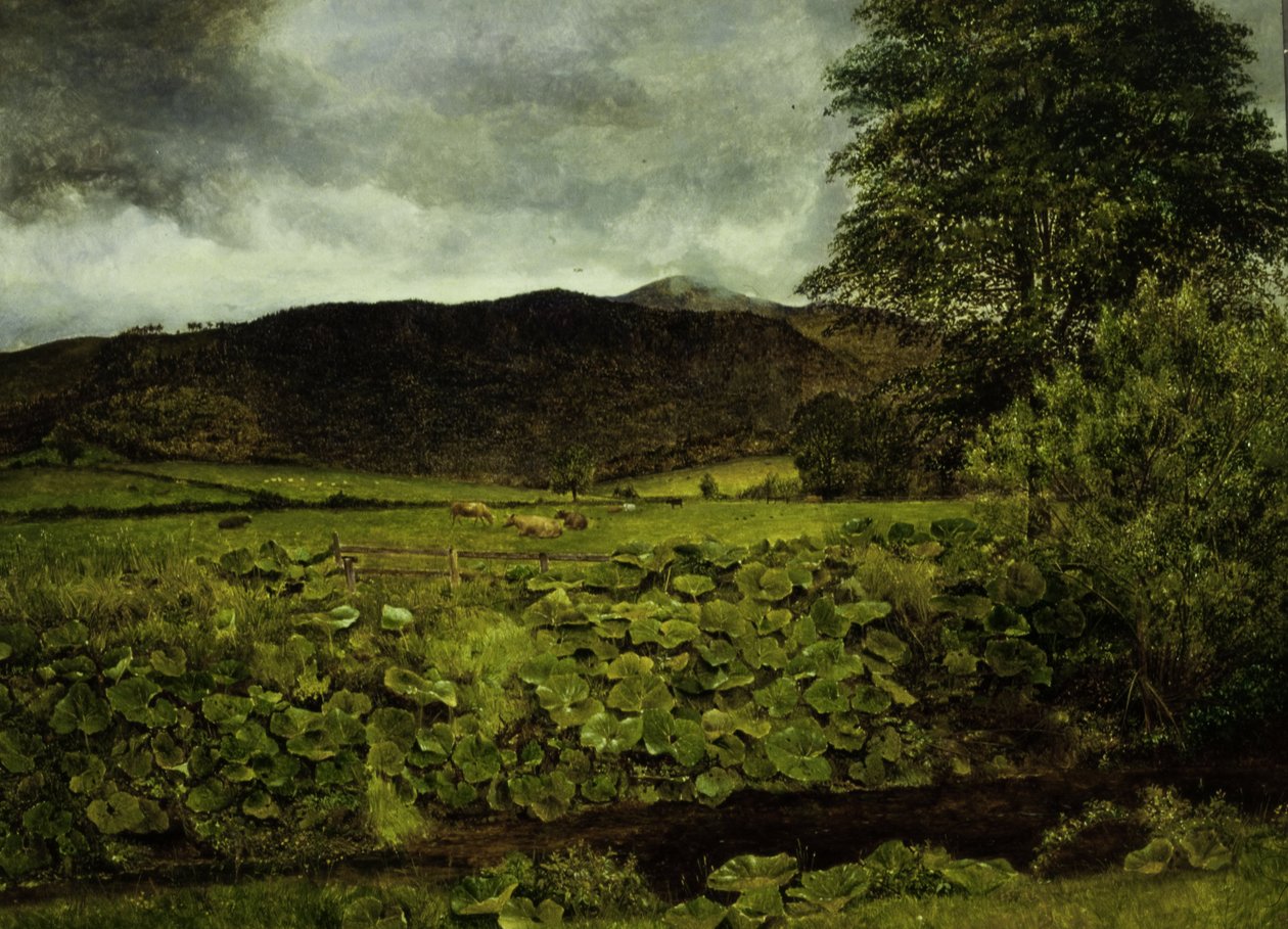 Crag de Wallow, Cumberland de George Stanfield Walters