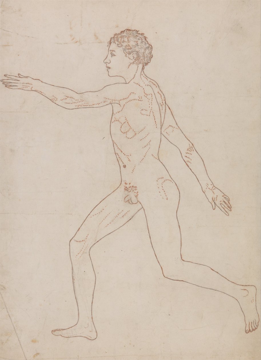 Uma exposição anatômica comparativa da estrutura do corpo humano com a de um tigre e uma co ... de George Stubbs