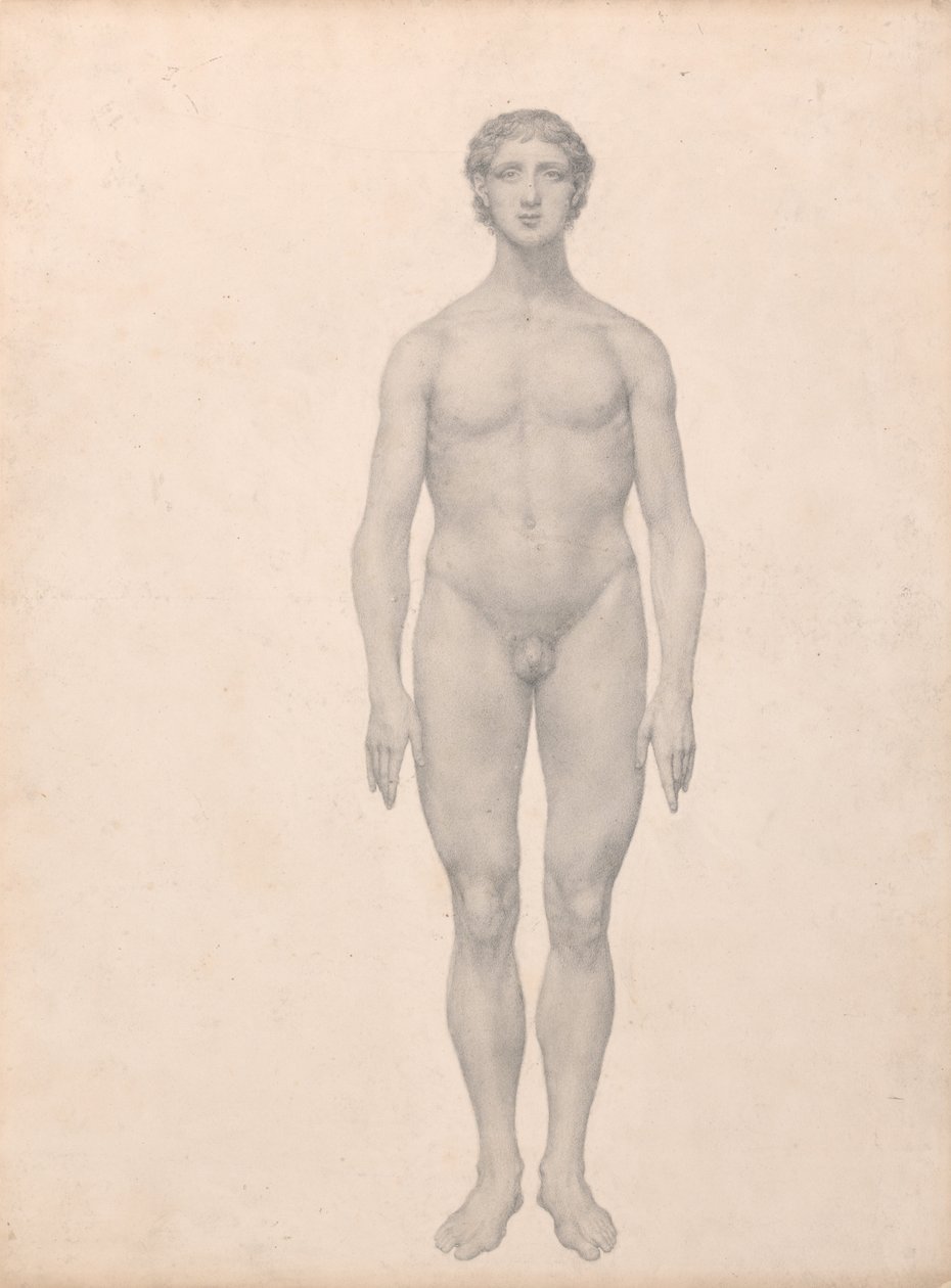 Uma exposição anatômica comparativa da estrutura do corpo humano com a de um tigre e uma co ... de George Stubbs