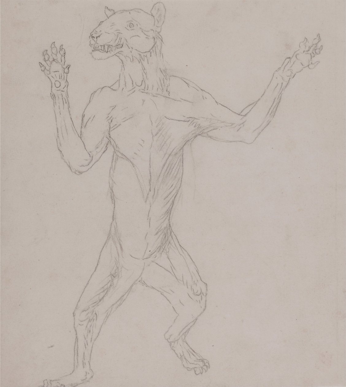 Uma Exposição Anatômica Comparativa da Estrutura do Corpo Humano com a de um Tigre e uma Co ... de George Stubbs