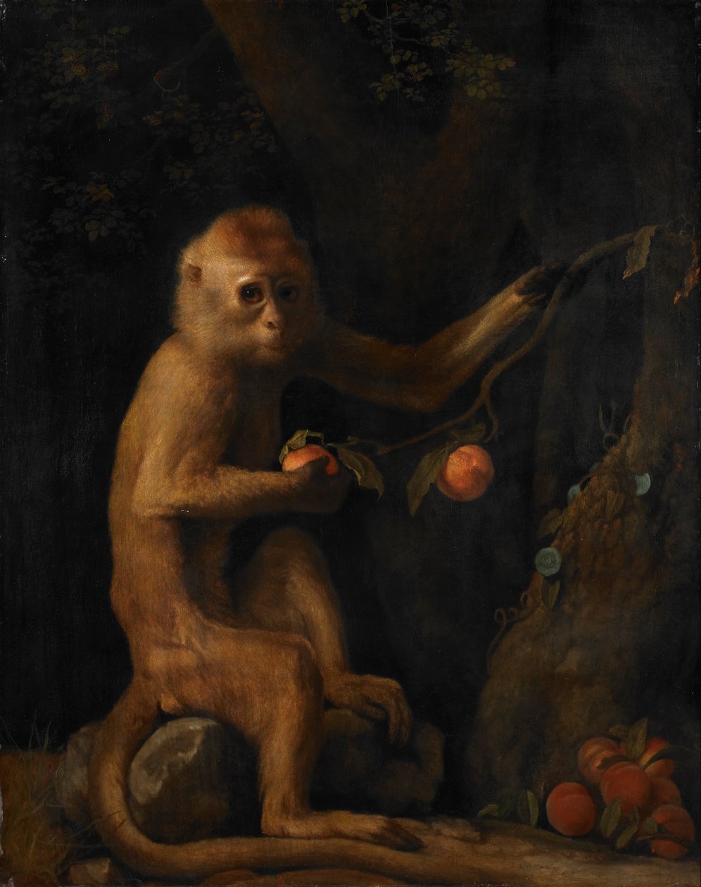 Um macaco de George Stubbs