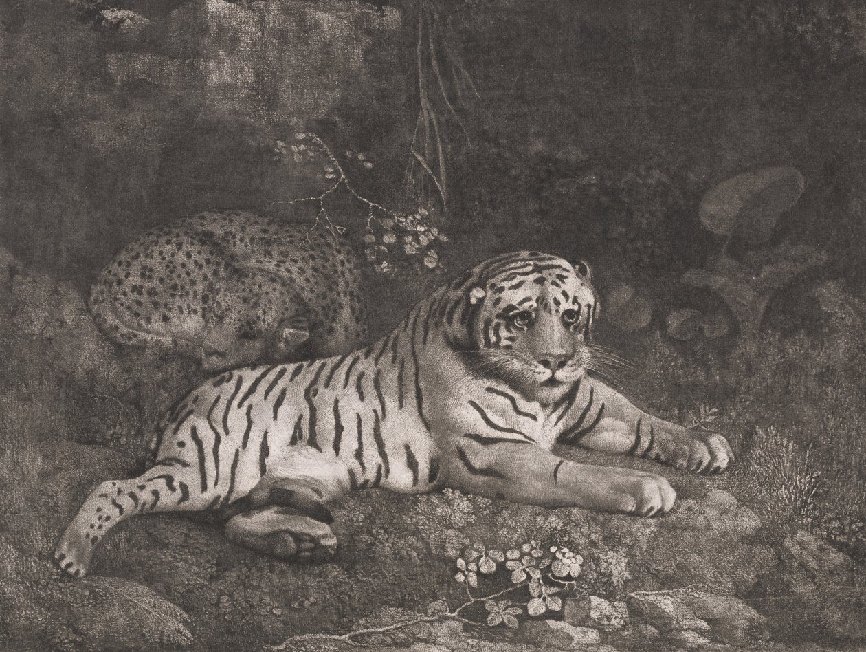 Um tigre e um leopardo adormecido de George Stubbs