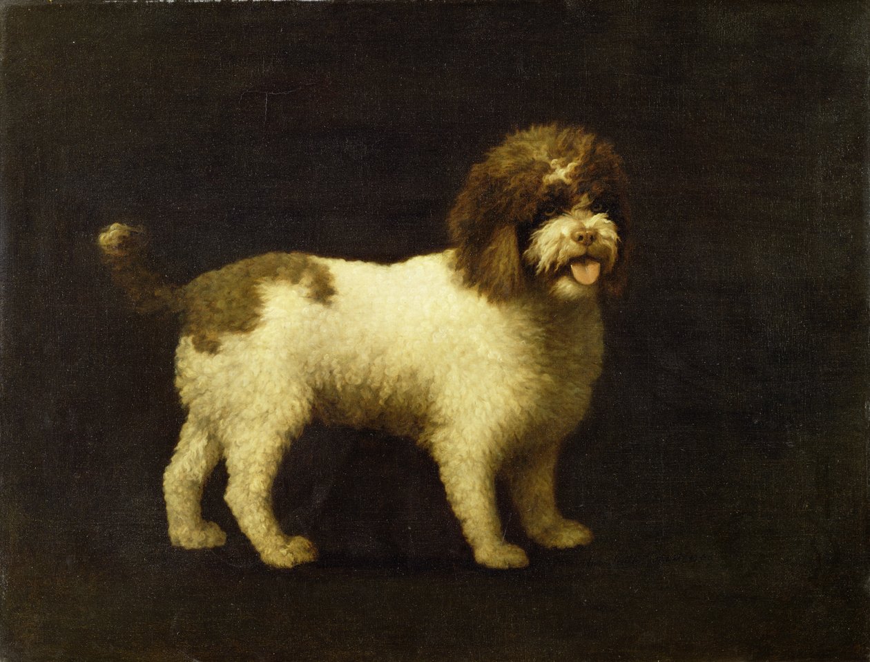 Um Spaniel da Água, 1769 de George Stubbs
