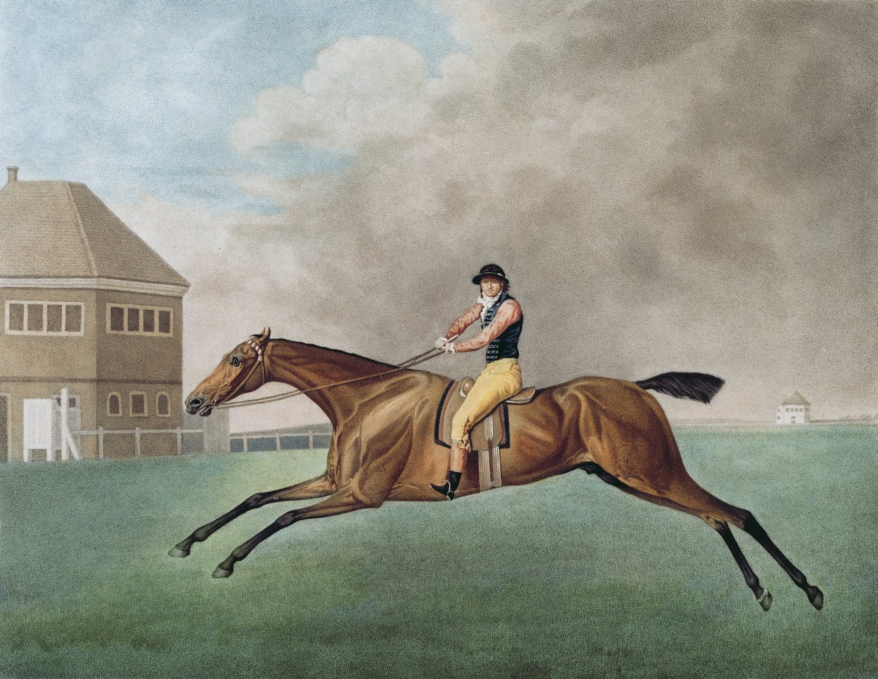 Baronete, 1794 de George Stubbs