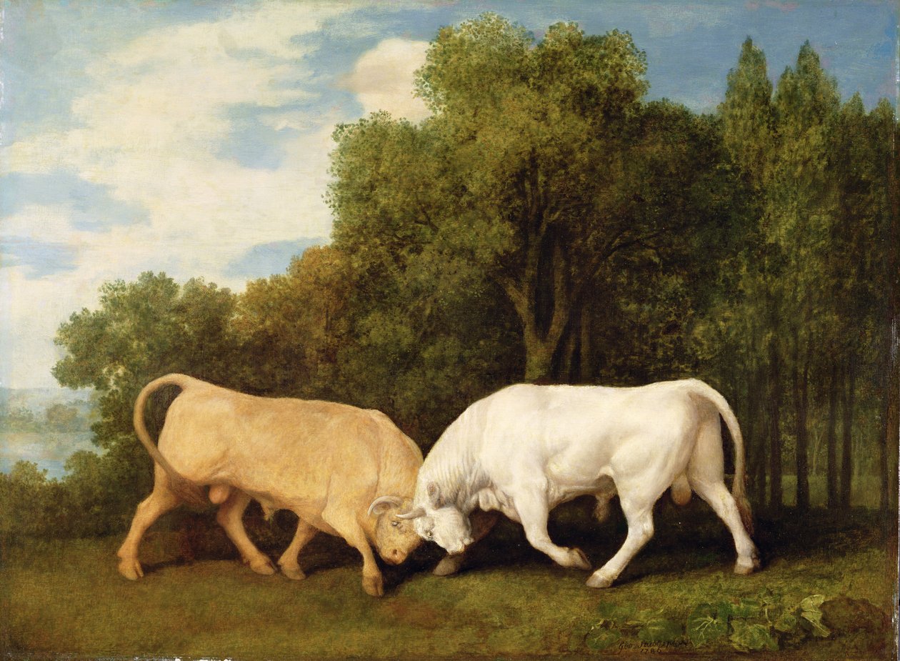 Touros Lutando, 1786 de George Stubbs