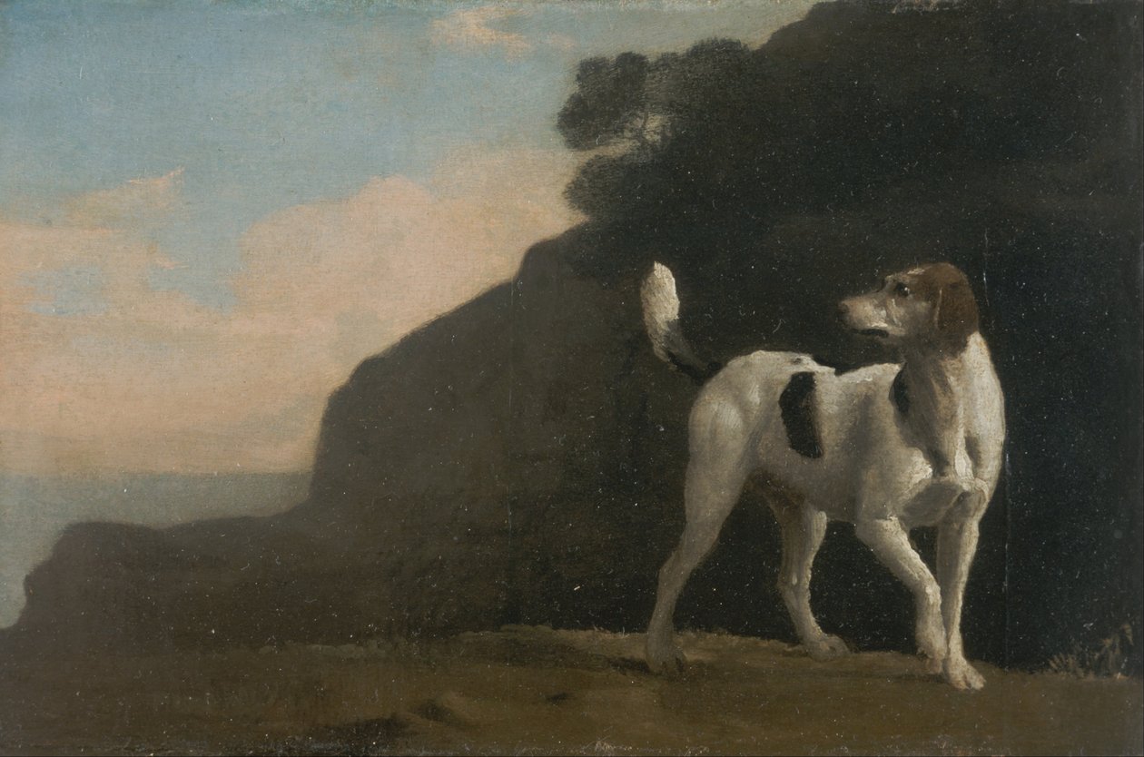 Foxhound de George Stubbs