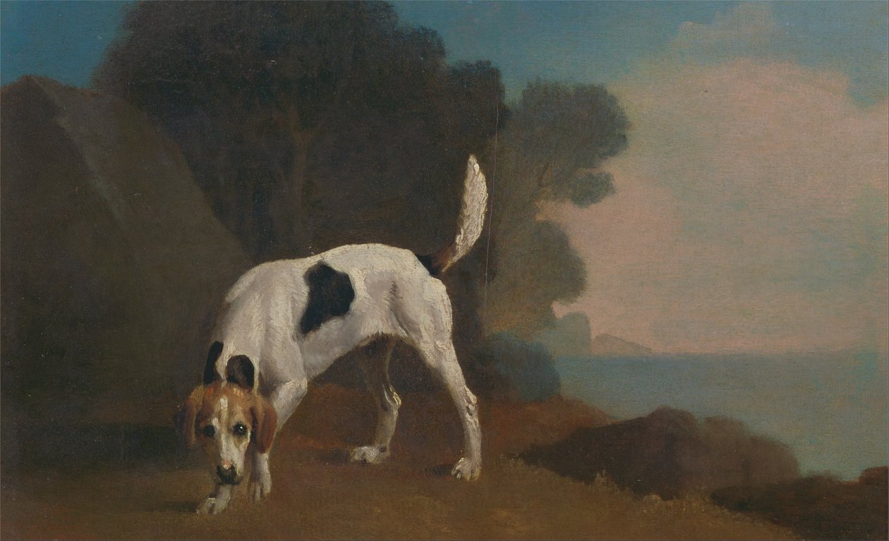 Foxhound de George Stubbs
