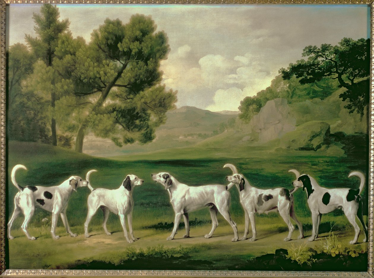 Foxhounds em uma paisagem, 1762 de George Stubbs