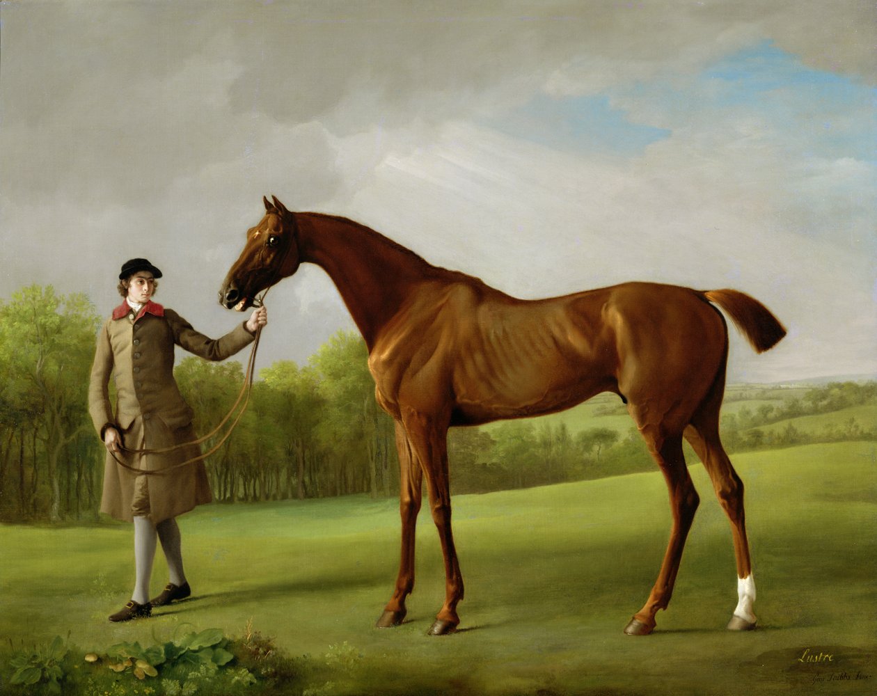 Lustre, realizada por um noivo, c.1760-62 de George Stubbs