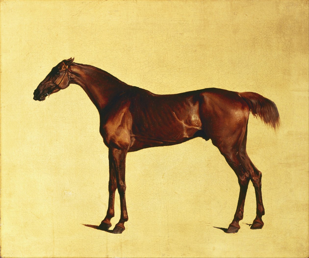 Pangloss de George Stubbs