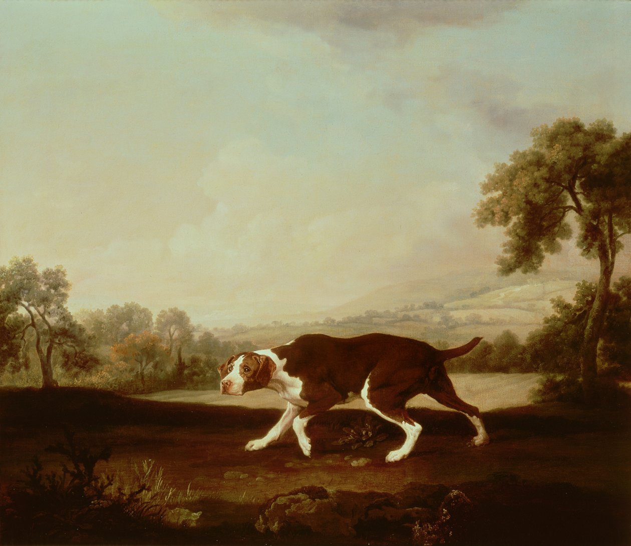 Ponteiro Espanhol de George Stubbs