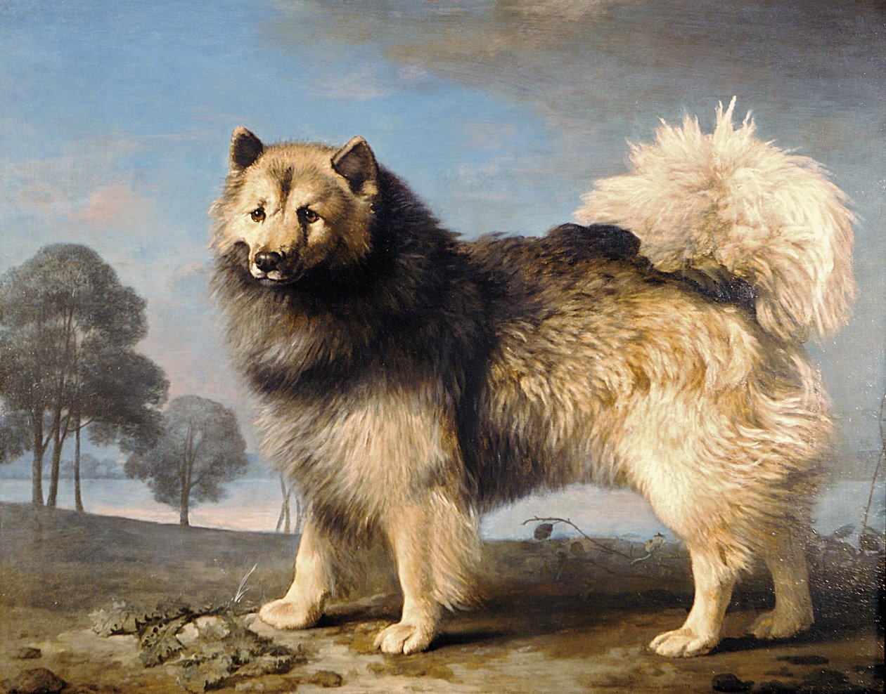 Turk, 1778 de George Stubbs