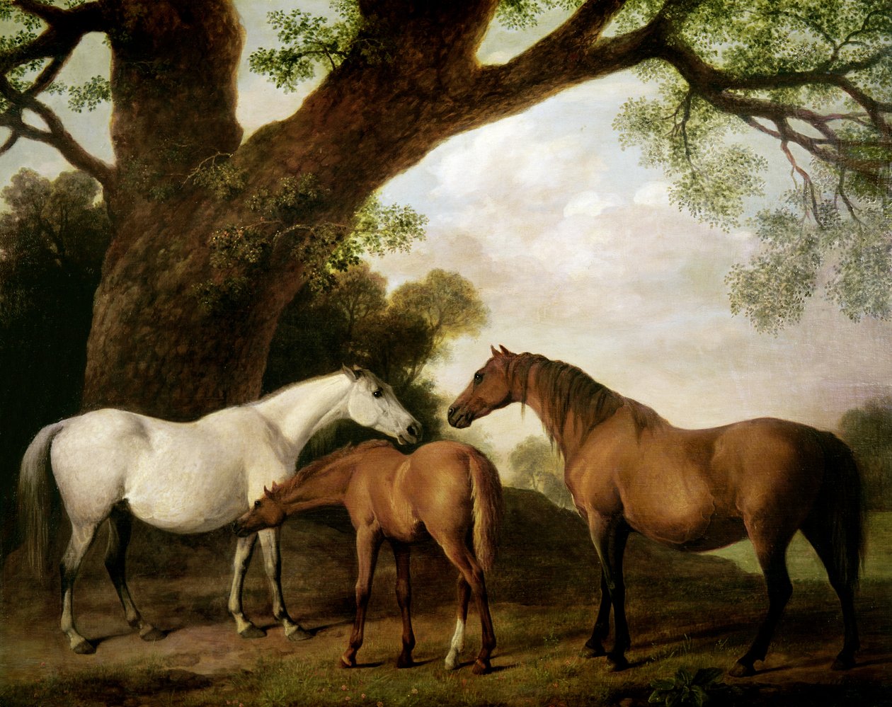 Duas éguas de Shafto e um potro, 1774 de George Stubbs