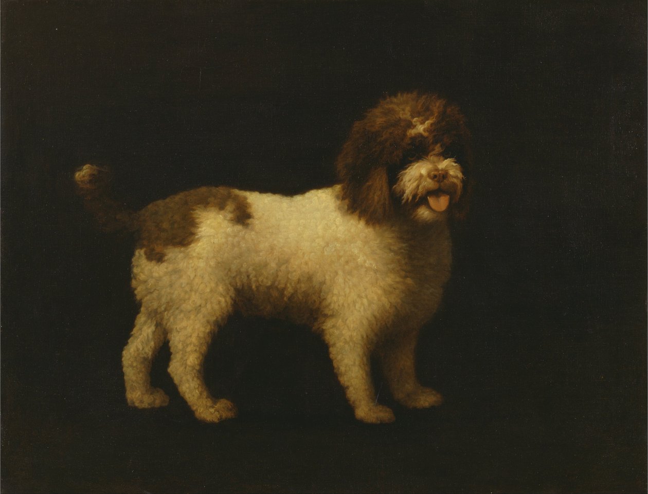 Spaniel de água de George Stubbs