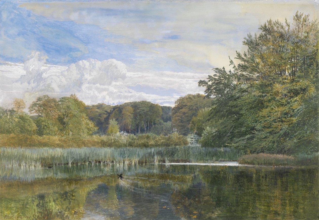A lagoa do moinho, Evelyn Woods, 1860 de George Vicat Cole