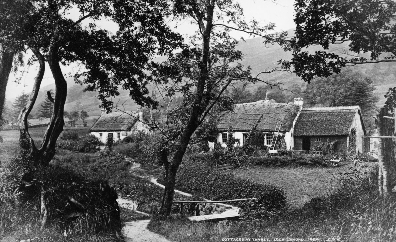 Casas de campo em Tarbet, Loch Lomond, c.1860-80 de George Washington Wilson