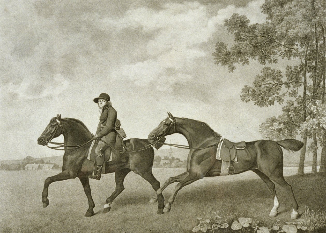 Two Hacks, gravado por George Townley Stubbs (bap.1748-c.1815) (litho) de George (after) Stubbs