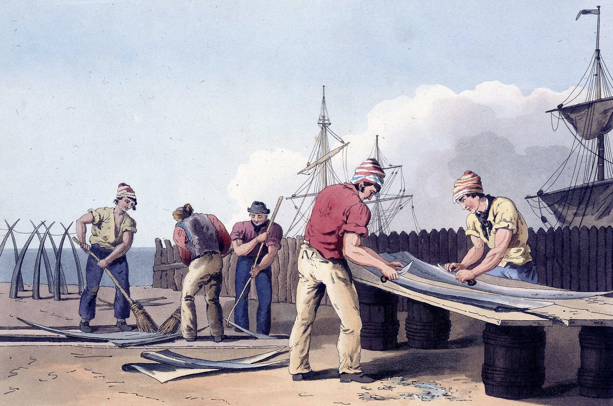 Pescadores raspando e limpando os restos de baleias de "The costume of Yorkshire", gravado por Robert Havell (1769-1832) 1814 (litografia). de George (after) Walker