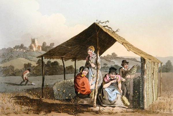 The Teazle Field, de `Costume of Yorkshire