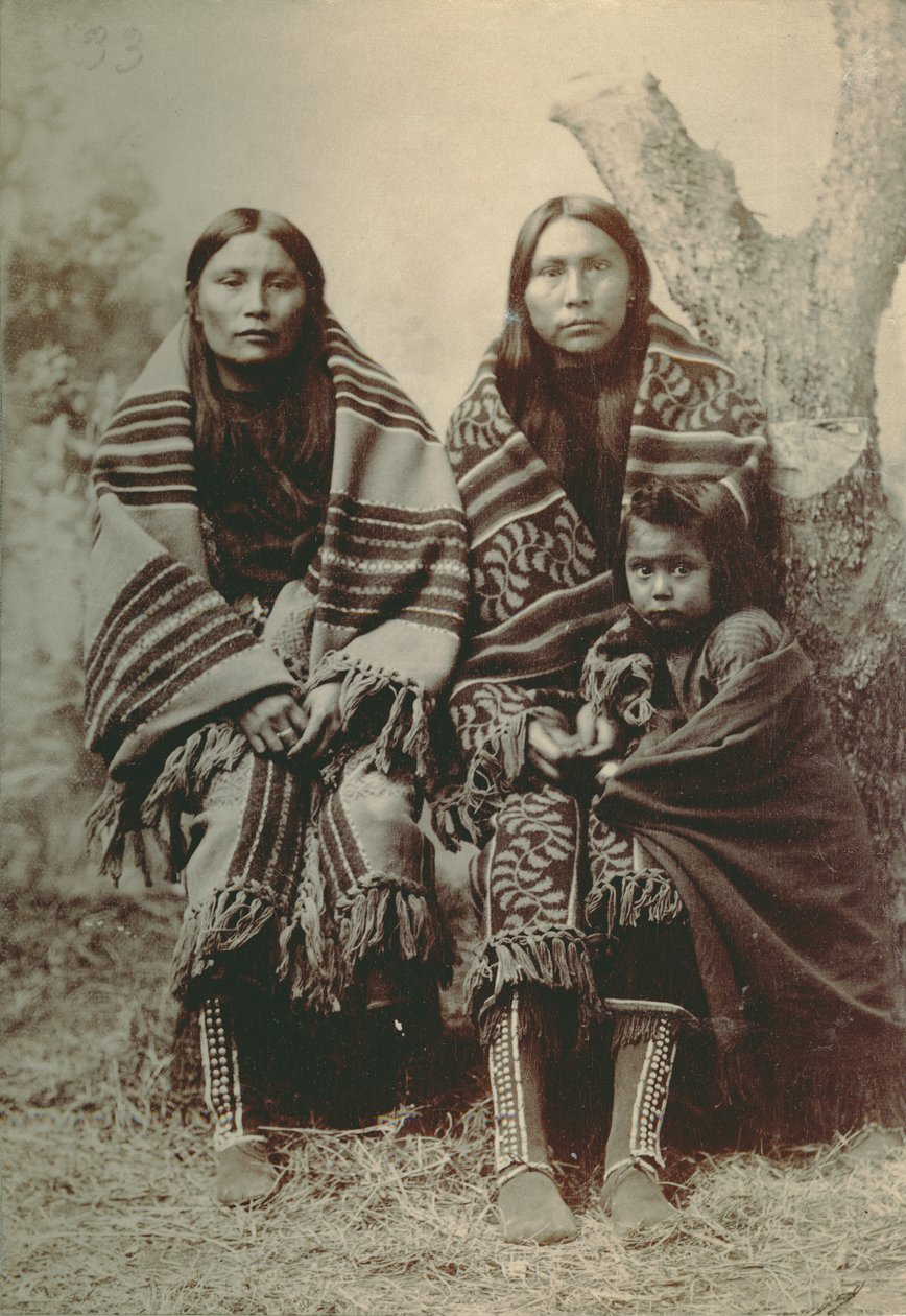 Duas mulheres comanches e uma criança pequena de George A. Addison
