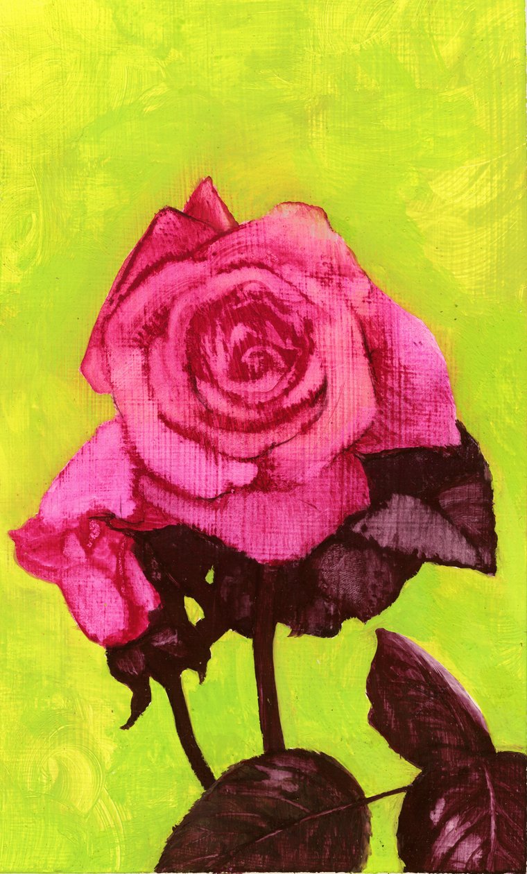 Rosa brilhante, década de 1980 (guache em compensado gesso) de George Adamson