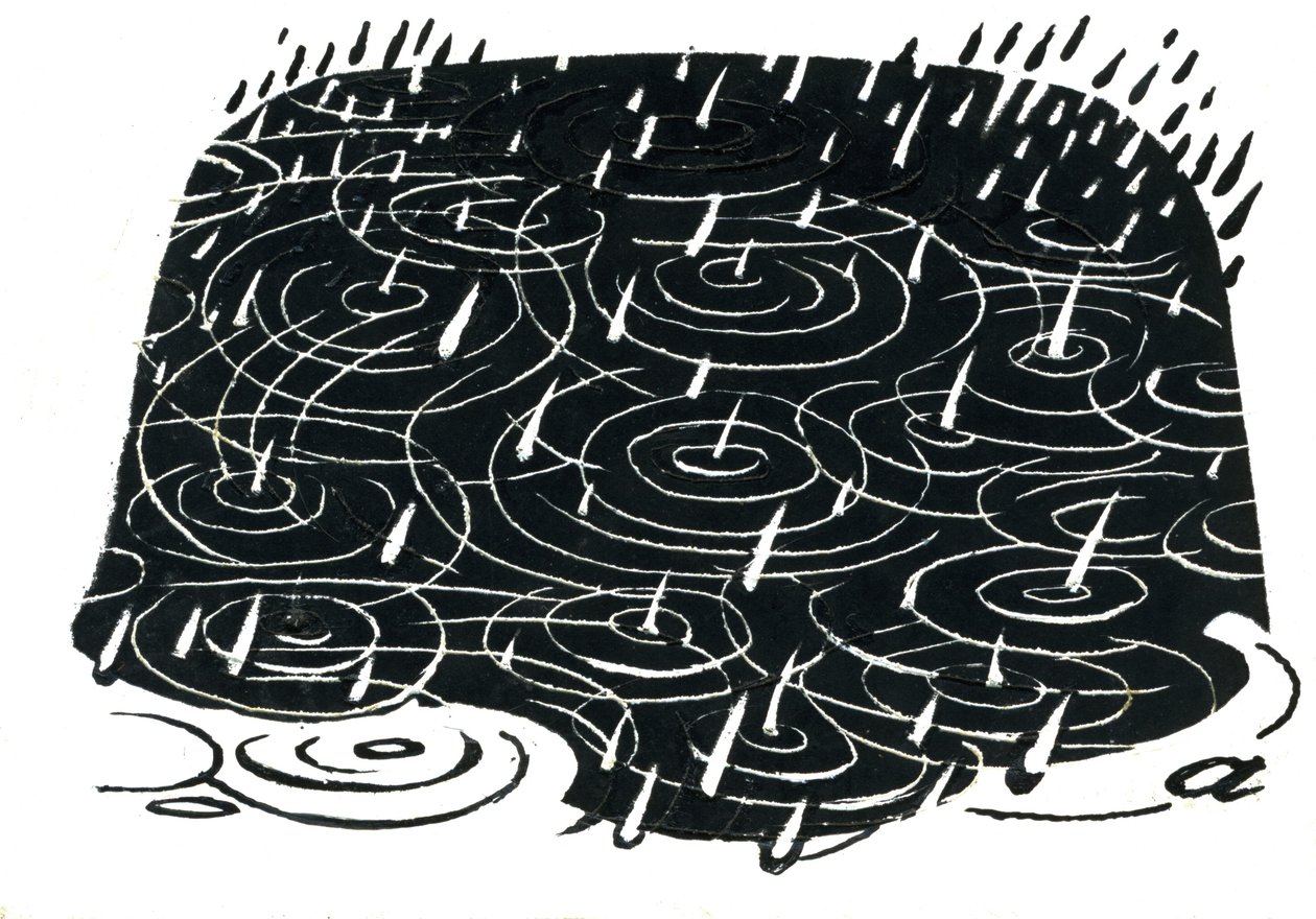 Design de poça de chuva (raspador) de George Adamson