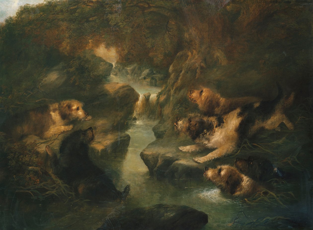 Lontra Caça, 1867 de George Armfield