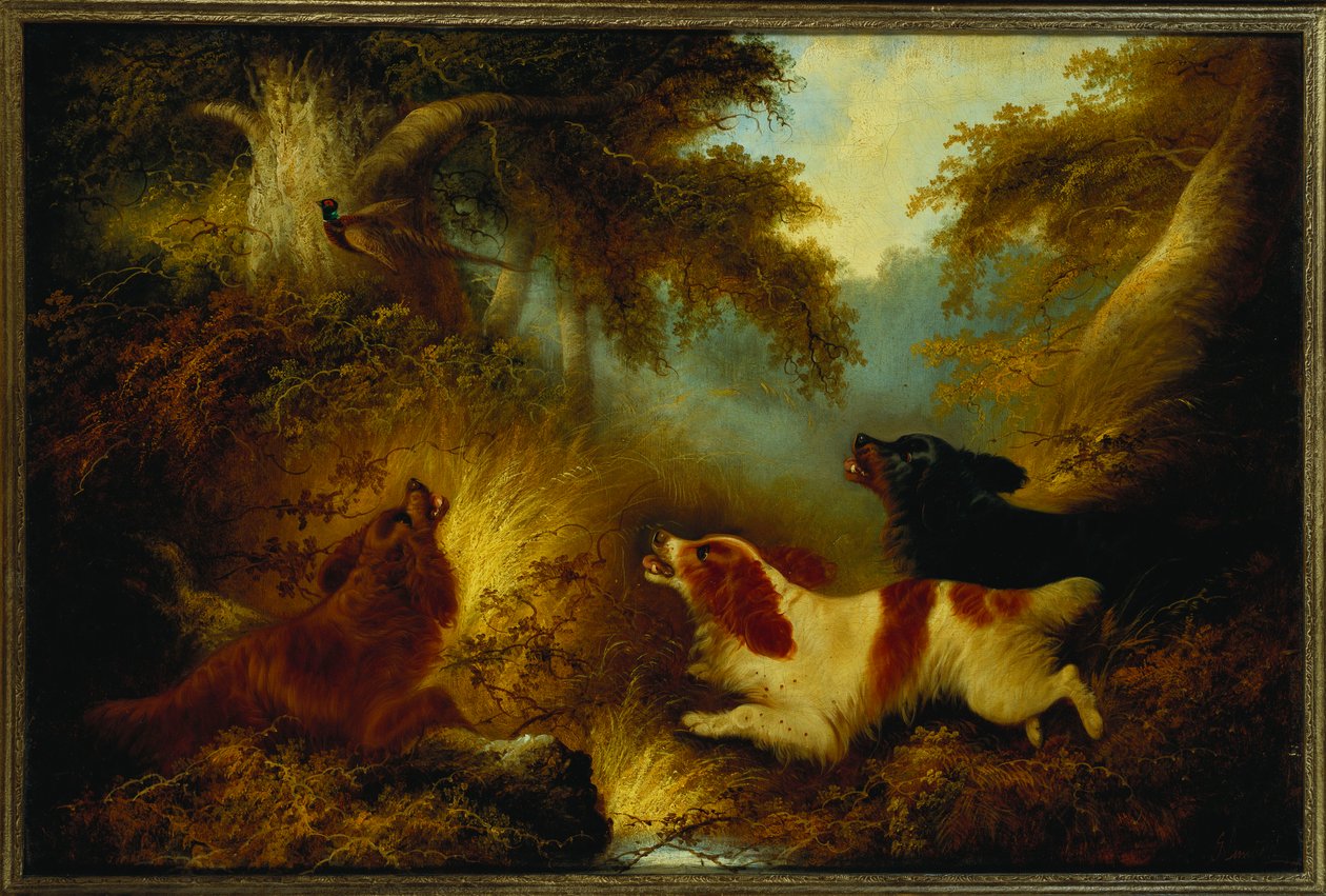 Spaniels colocando um faisão de George Armfield