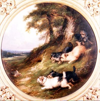 Coelhos Terriers Rabiting de George Armfield