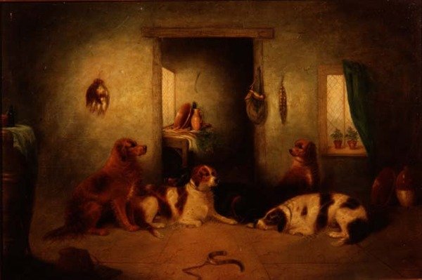 Os cães de cozinha de George Armfield