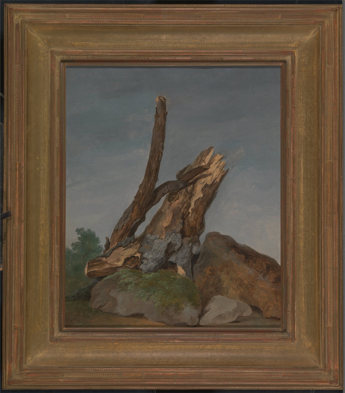 Estudo das rochas e dos ramos de George Augustus Wallis