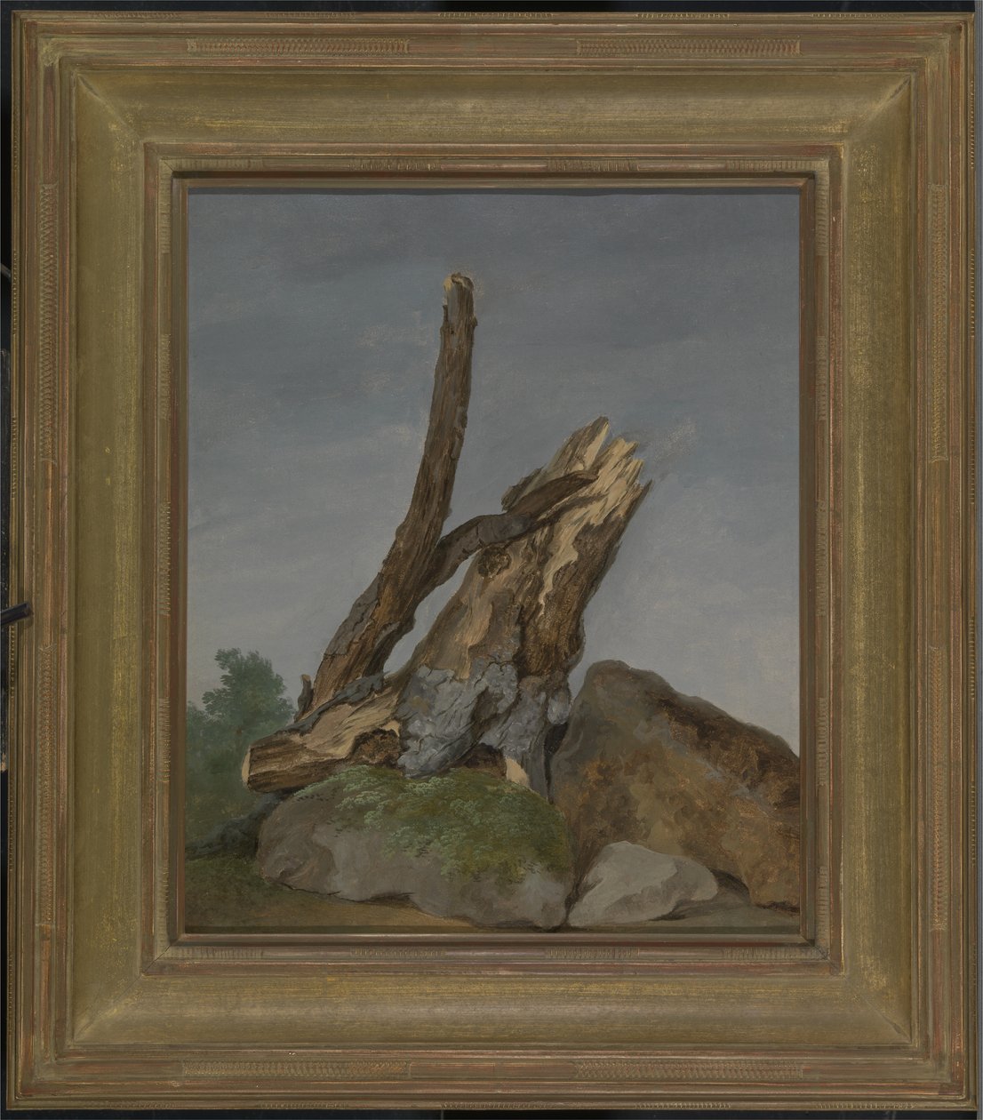 Estudo de Rochas e Ramos, c.1795 (óleo sobre papel) de George Augustus Wallis