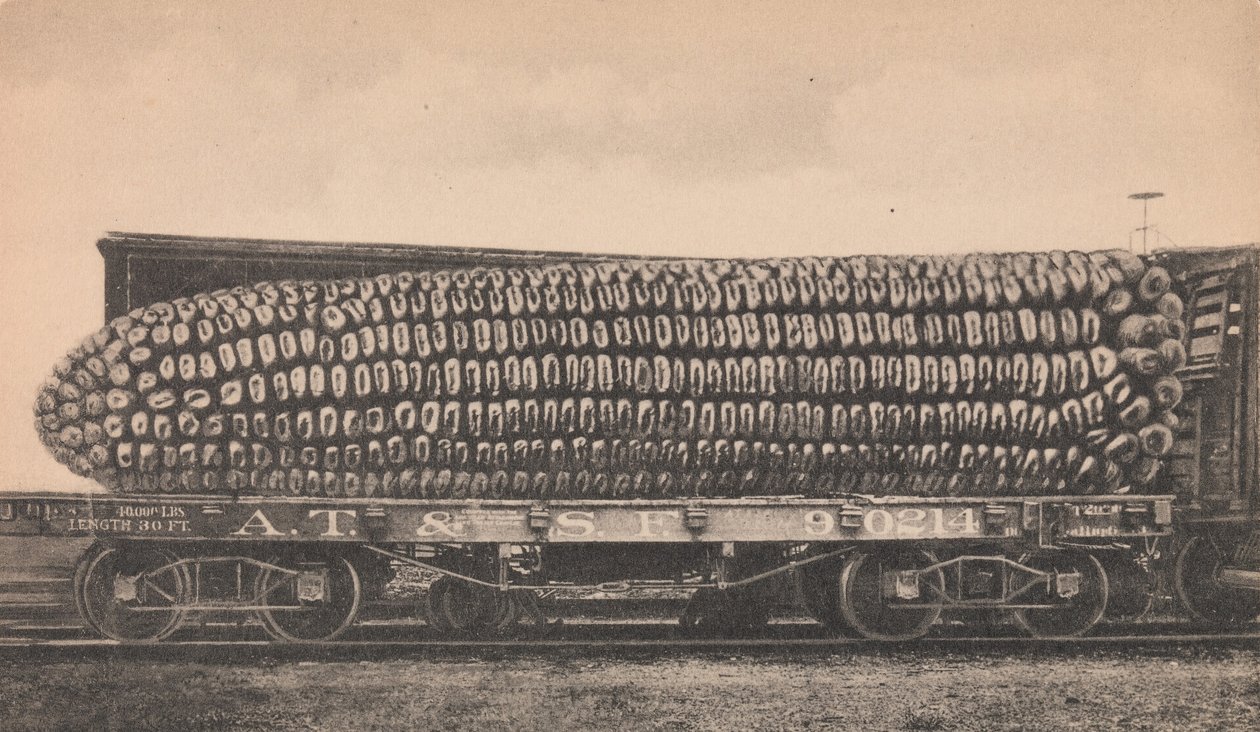 A Car Load of Texas Corn, ca. 1910. de George B. Cornish