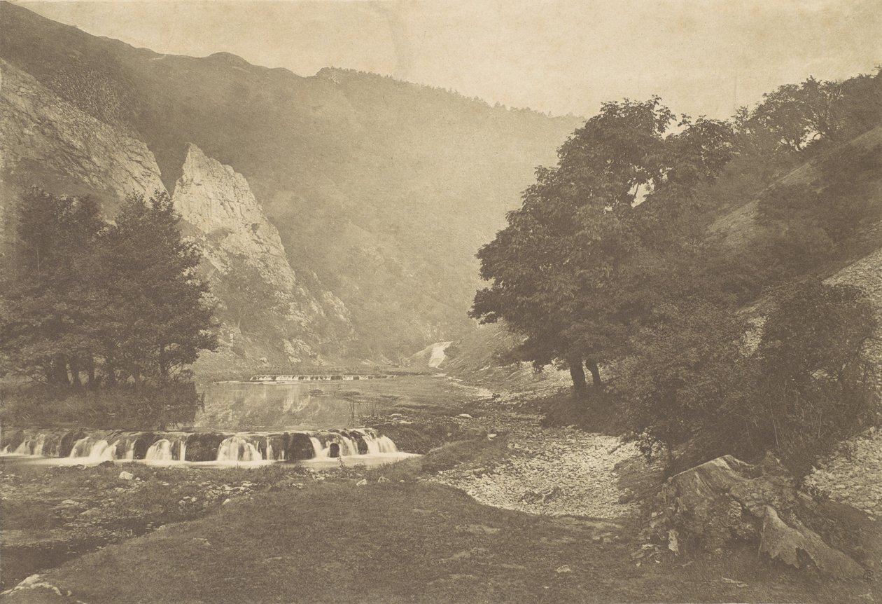 Floresta. de George Bankart