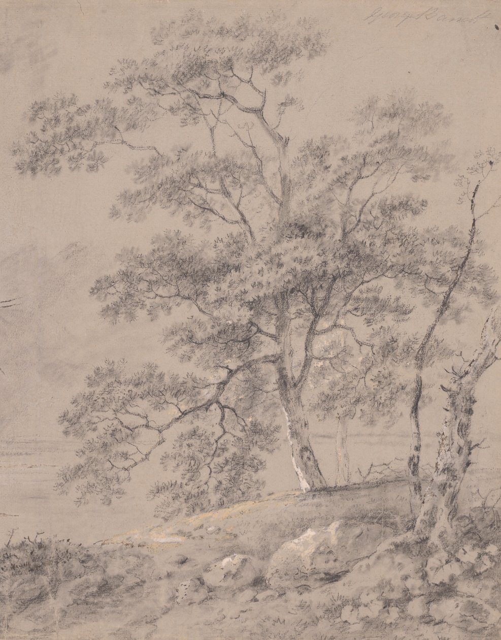 Estudo das árvores de George Barret