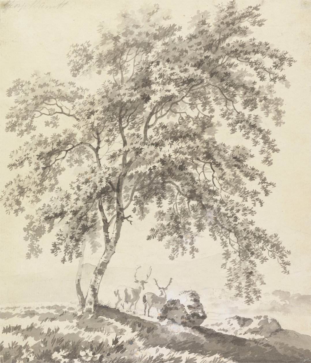 Estudo das Árvores com Estágio (Paisagem) de George Barret